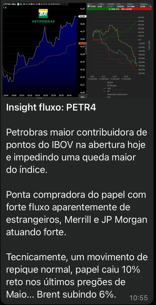 Captura da mesa: insight de fluxo em PETR4, com o gráfico intradiário e o saldo por corretora mostrando Merrill e JP Morgan na ponta compradora.